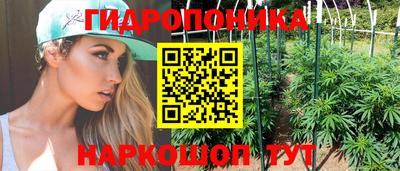 стафф Гагарин